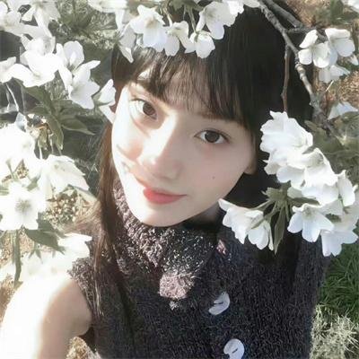 维也纳的姑娘们